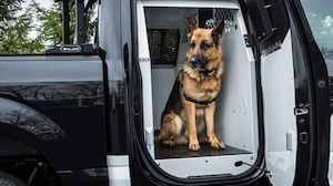 K9 Outfitting